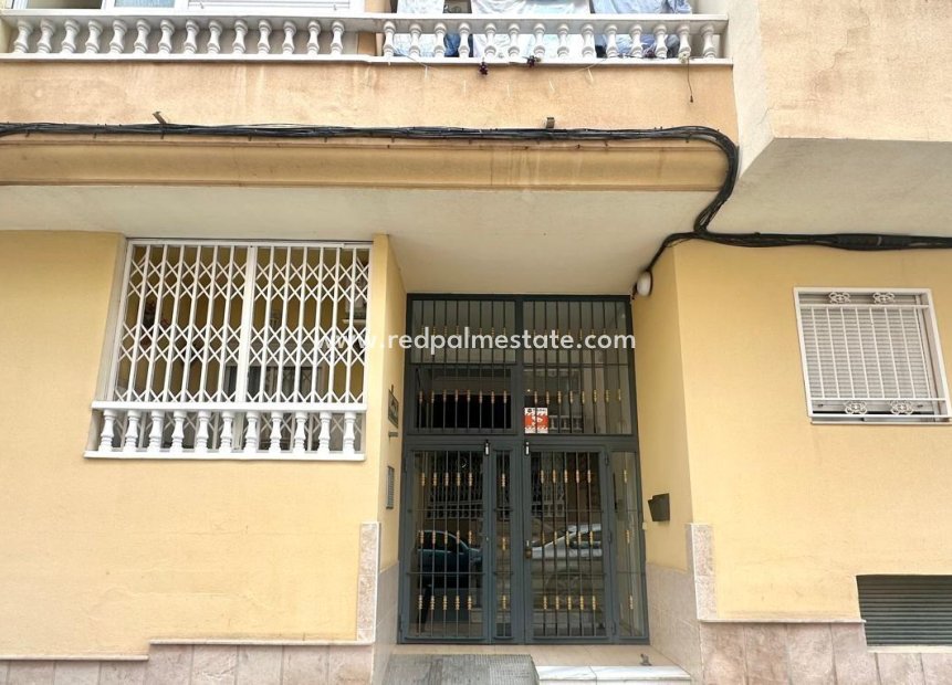 Återförsäljning - Lägenheter -
Torrevieja - Centro Torrevieja