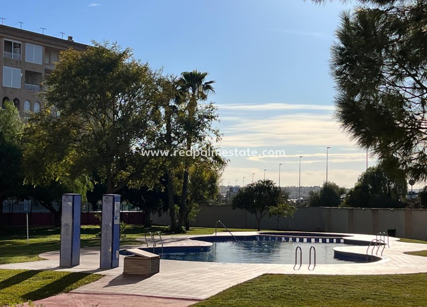 Återförsäljning - Lägenheter -
Torrevieja - Centro Torrevieja