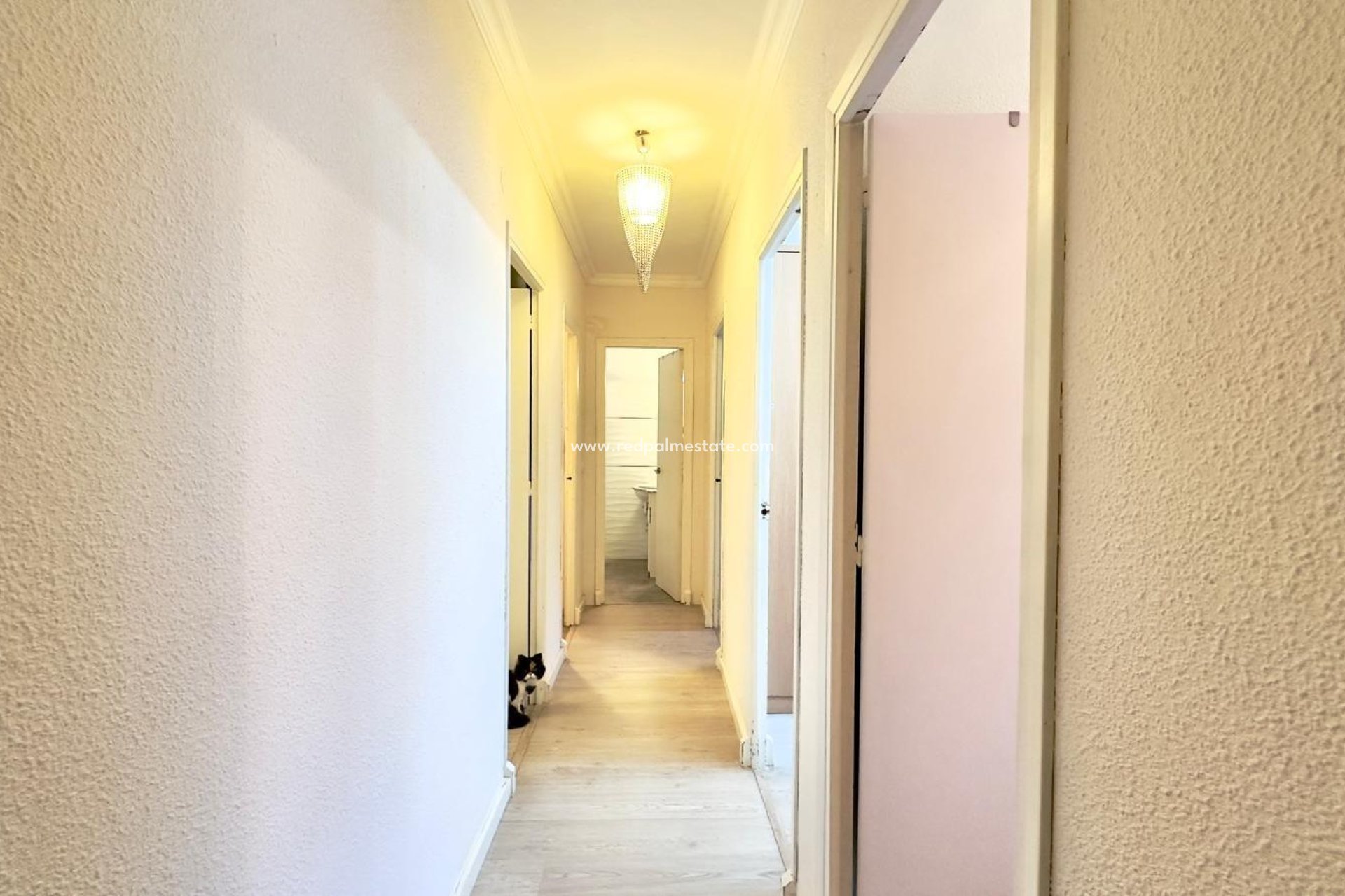 Återförsäljning - Lägenheter -
Torrevieja - Centro Torrevieja