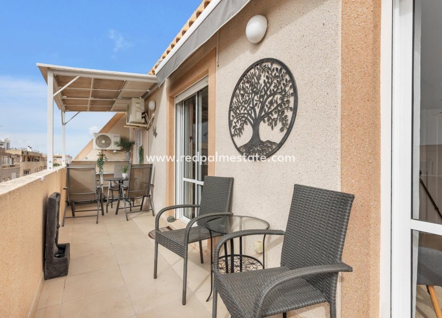 Återförsäljning - Lägenheter -
Torrevieja - Centro Torrevieja