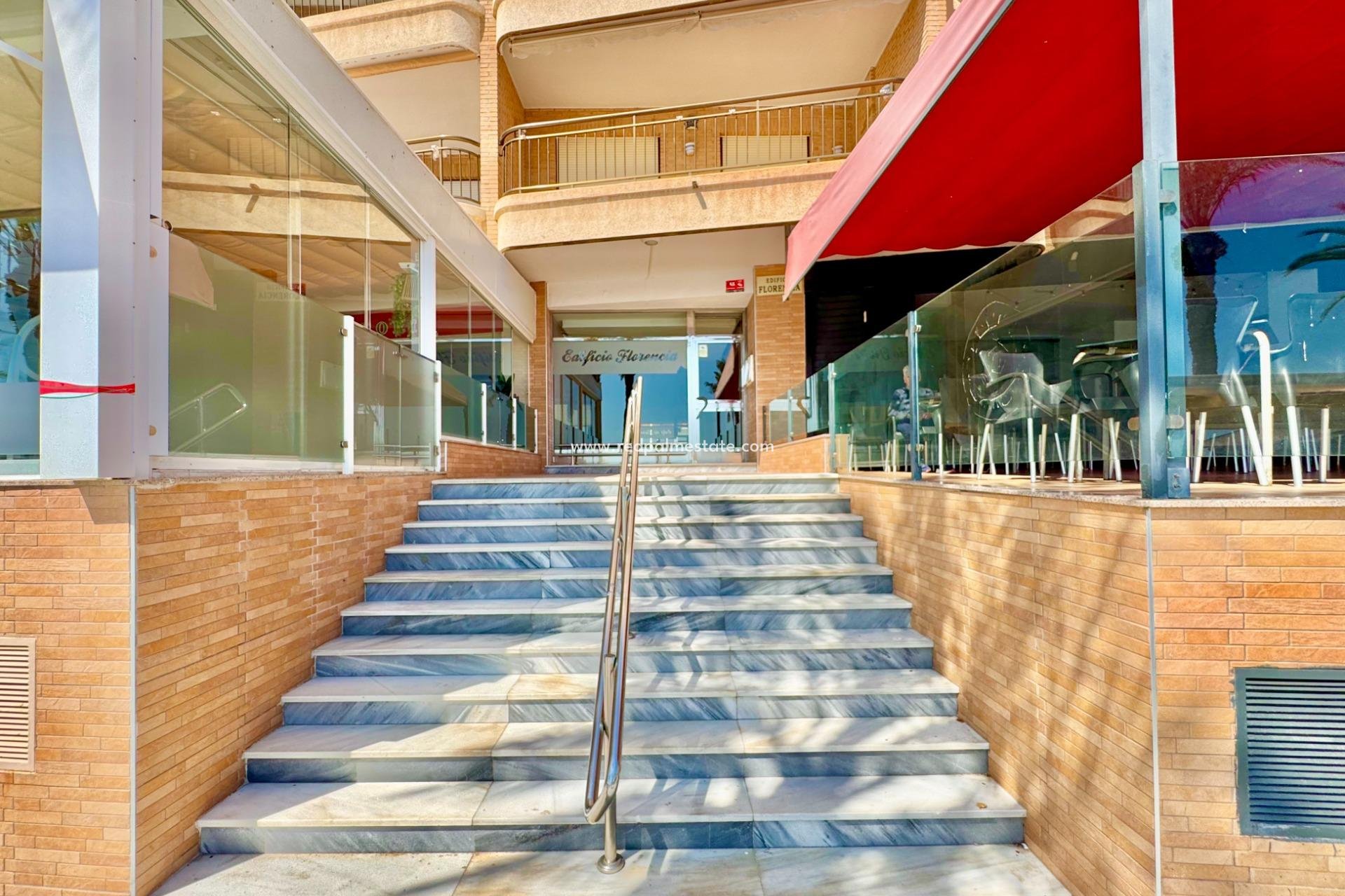 Återförsäljning - Lägenheter -
Torrevieja - Centro Torrevieja