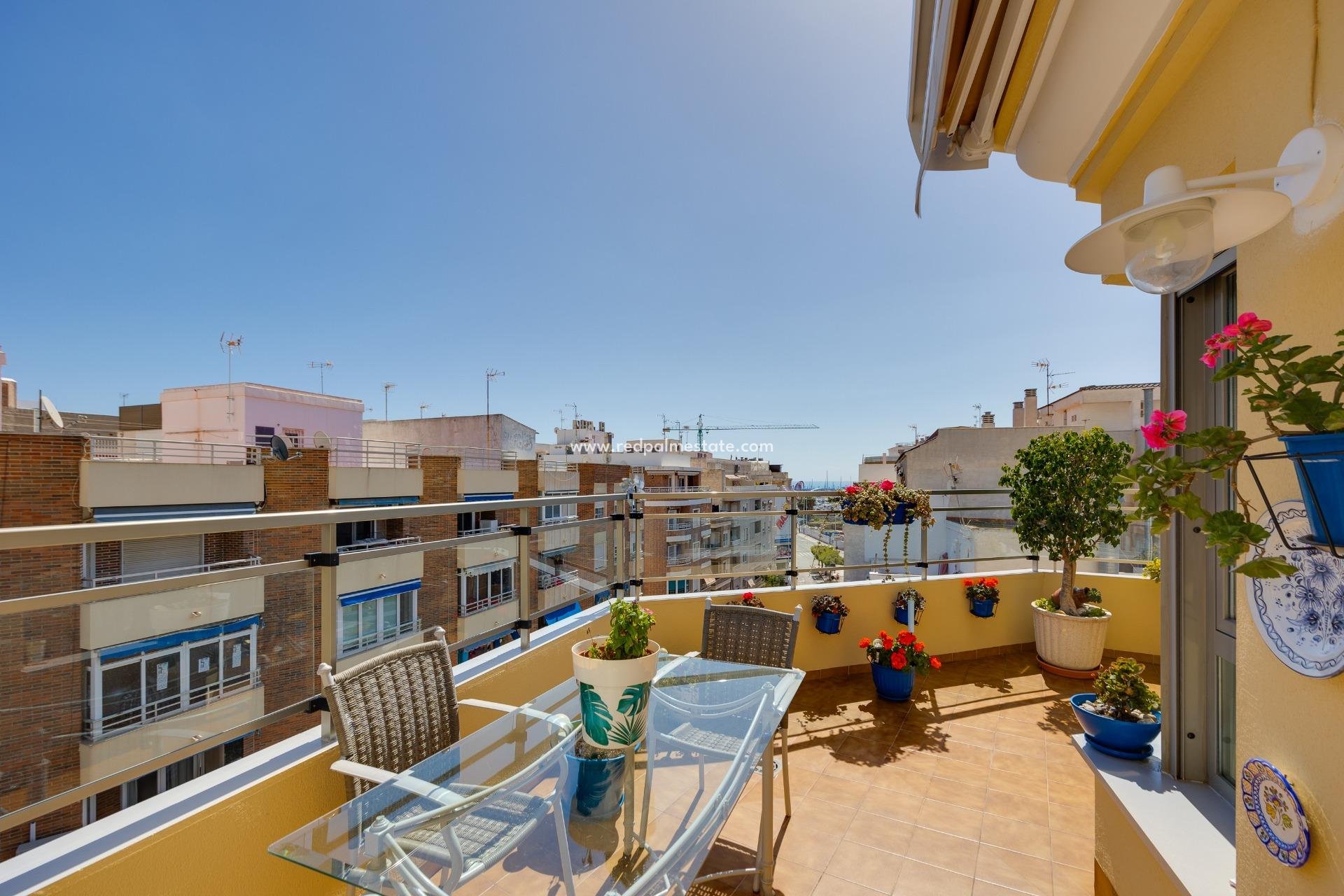 Återförsäljning - Lägenheter -
Torrevieja - Centro Torrevieja