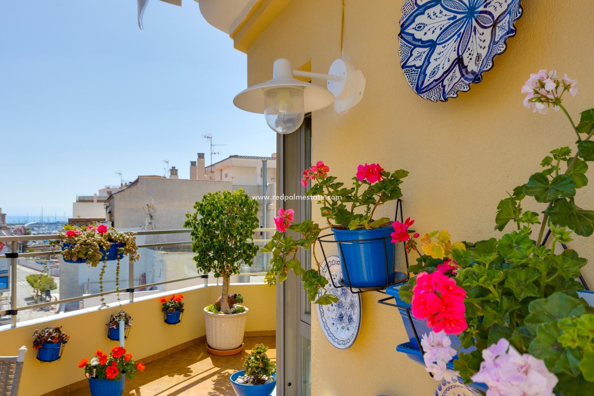 Återförsäljning - Lägenheter -
Torrevieja - Centro Torrevieja