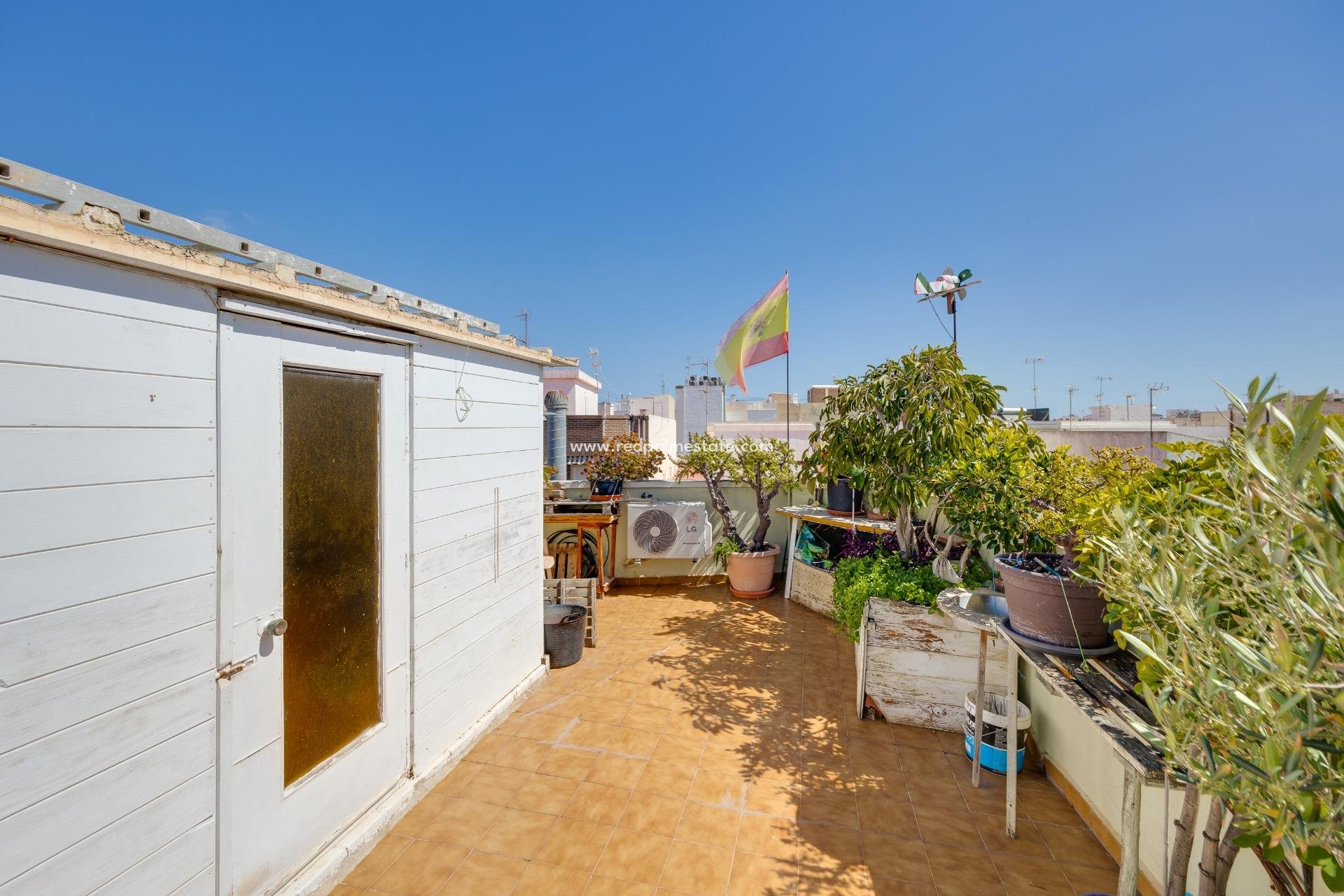 Återförsäljning - Lägenheter -
Torrevieja - Centro Torrevieja