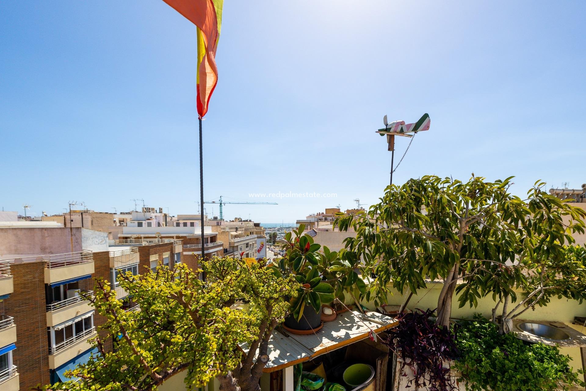 Återförsäljning - Lägenheter -
Torrevieja - Centro Torrevieja