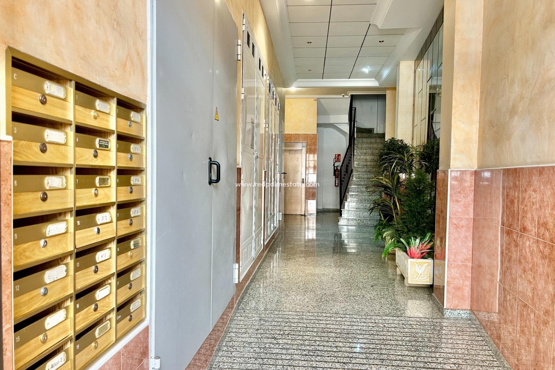 Återförsäljning - Lägenheter -
Torrevieja - Centro Torrevieja