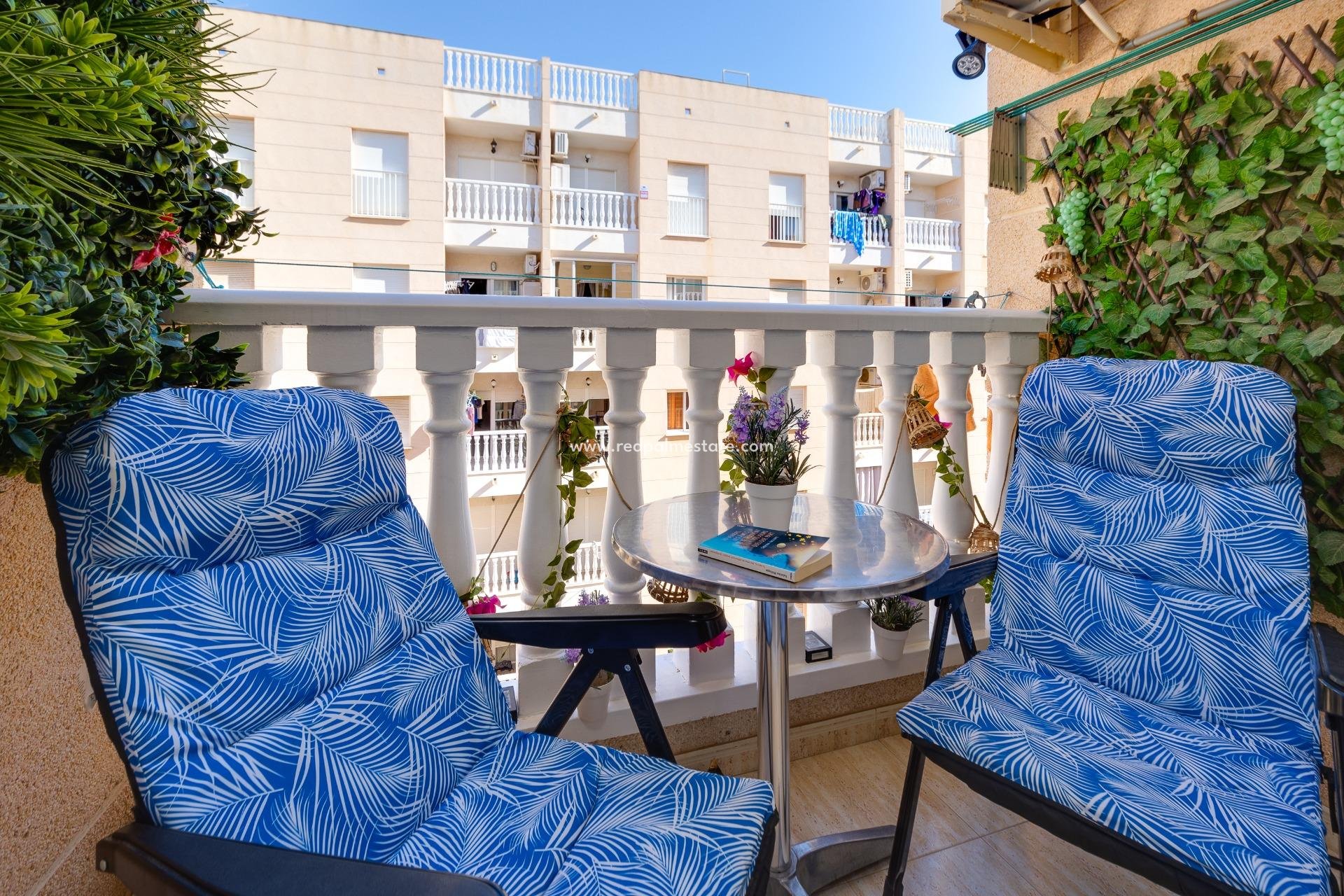 Återförsäljning - Lägenheter -
Torrevieja - Centro Torrevieja