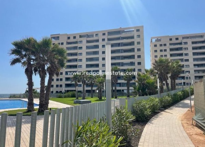 Återförsäljning - Lägenheter -
Torrevieja - Costa Blanca