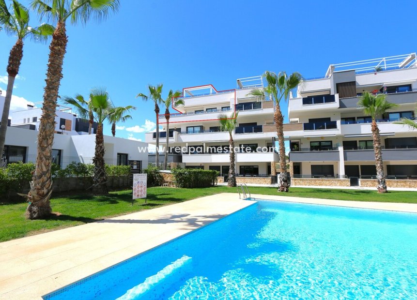Återförsäljning - Lägenheter -
Torrevieja - Costa Blanca