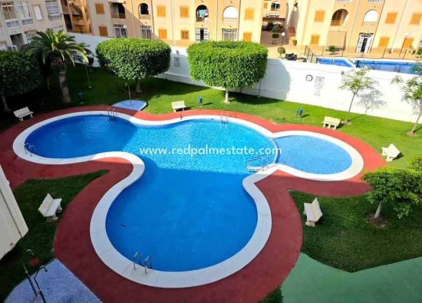 Återförsäljning - Lägenheter -
Torrevieja - El Acequión - Los Náufragos