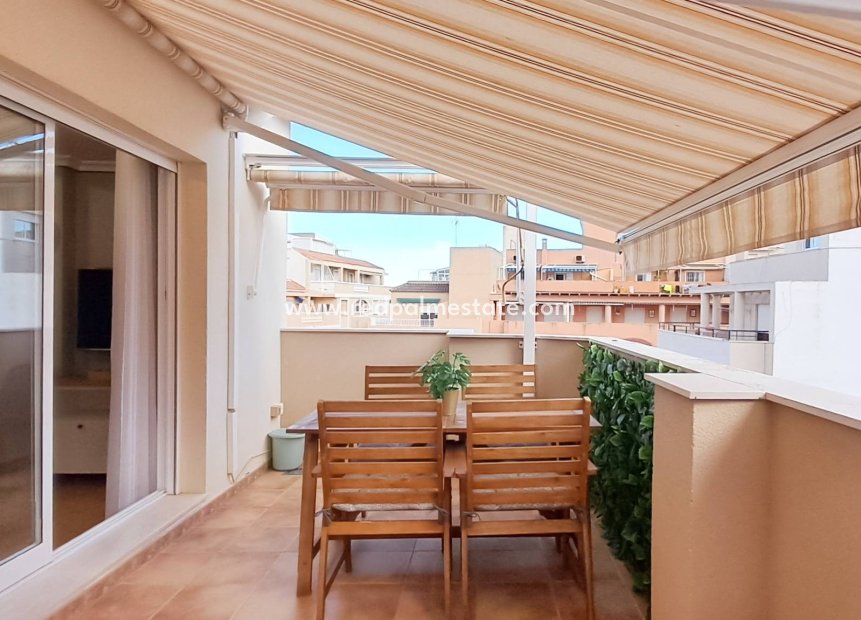 Återförsäljning - Lägenheter -
Torrevieja - La Mata