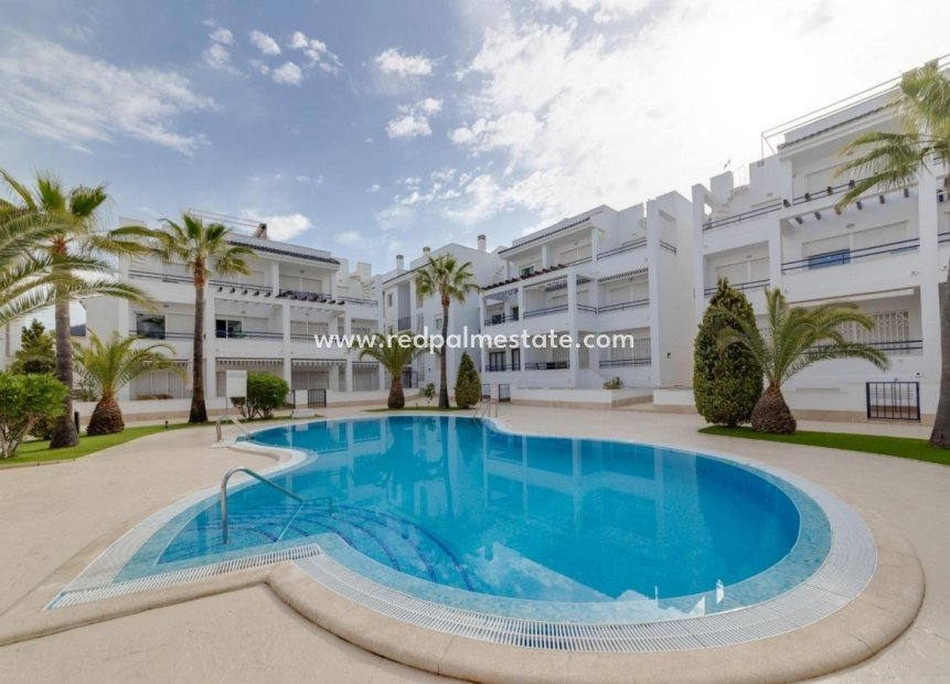 Återförsäljning - Lägenheter -
Torrevieja - La Veleta