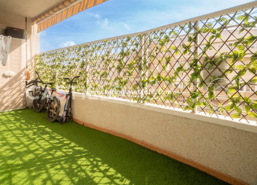 Återförsäljning - Lägenheter -
Torrevieja - Nueva Torrevieja - Aguas Nuevas