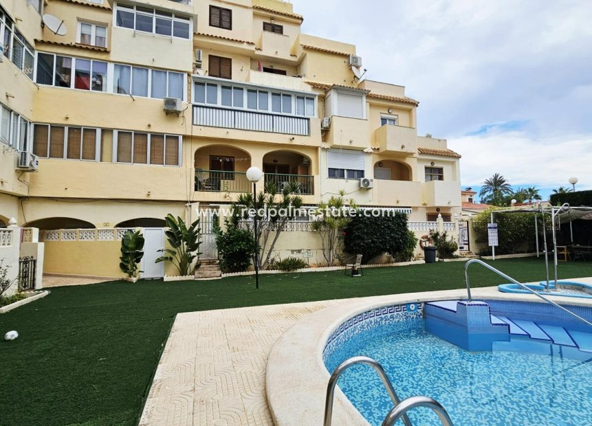 Återförsäljning - Lägenheter -
Torrevieja - Nueva Torrevieja - Aguas Nuevas