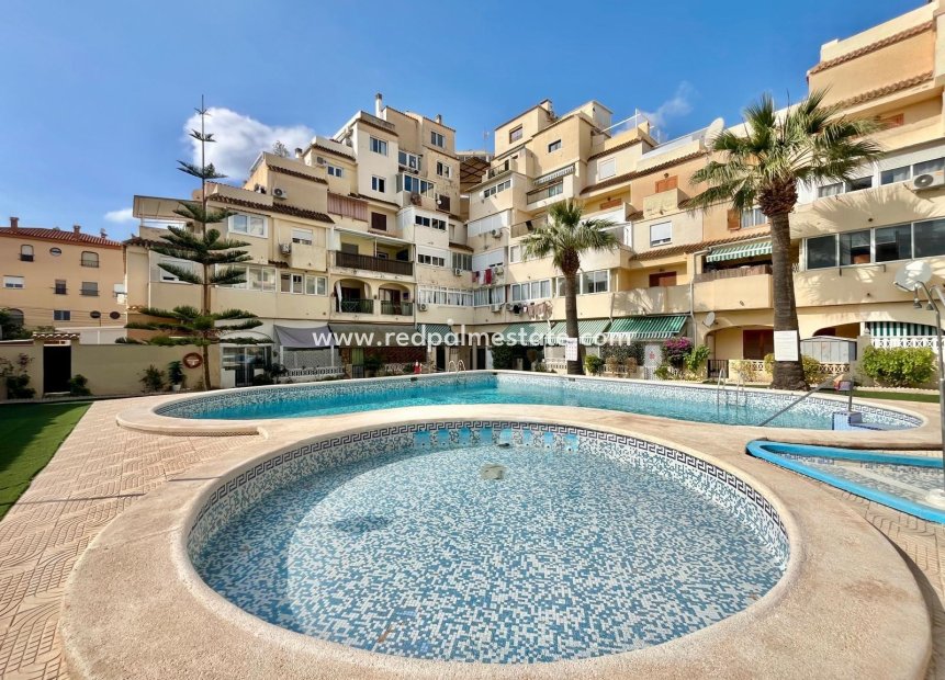 Återförsäljning - Lägenheter -
Torrevieja - Nueva Torrevieja - Aguas Nuevas