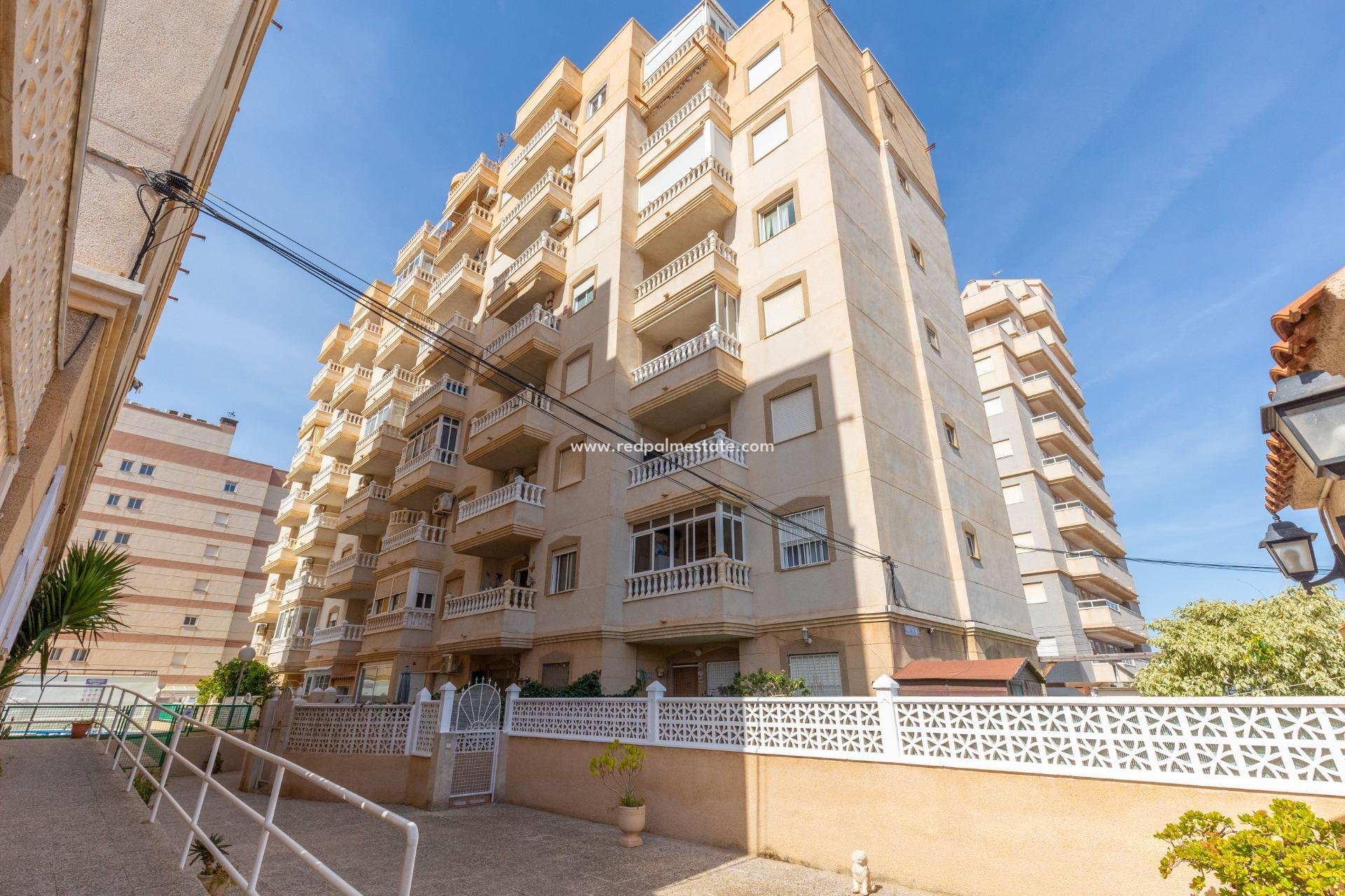 Återförsäljning - Lägenheter -
Torrevieja - Nueva Torrevieja - Aguas Nuevas