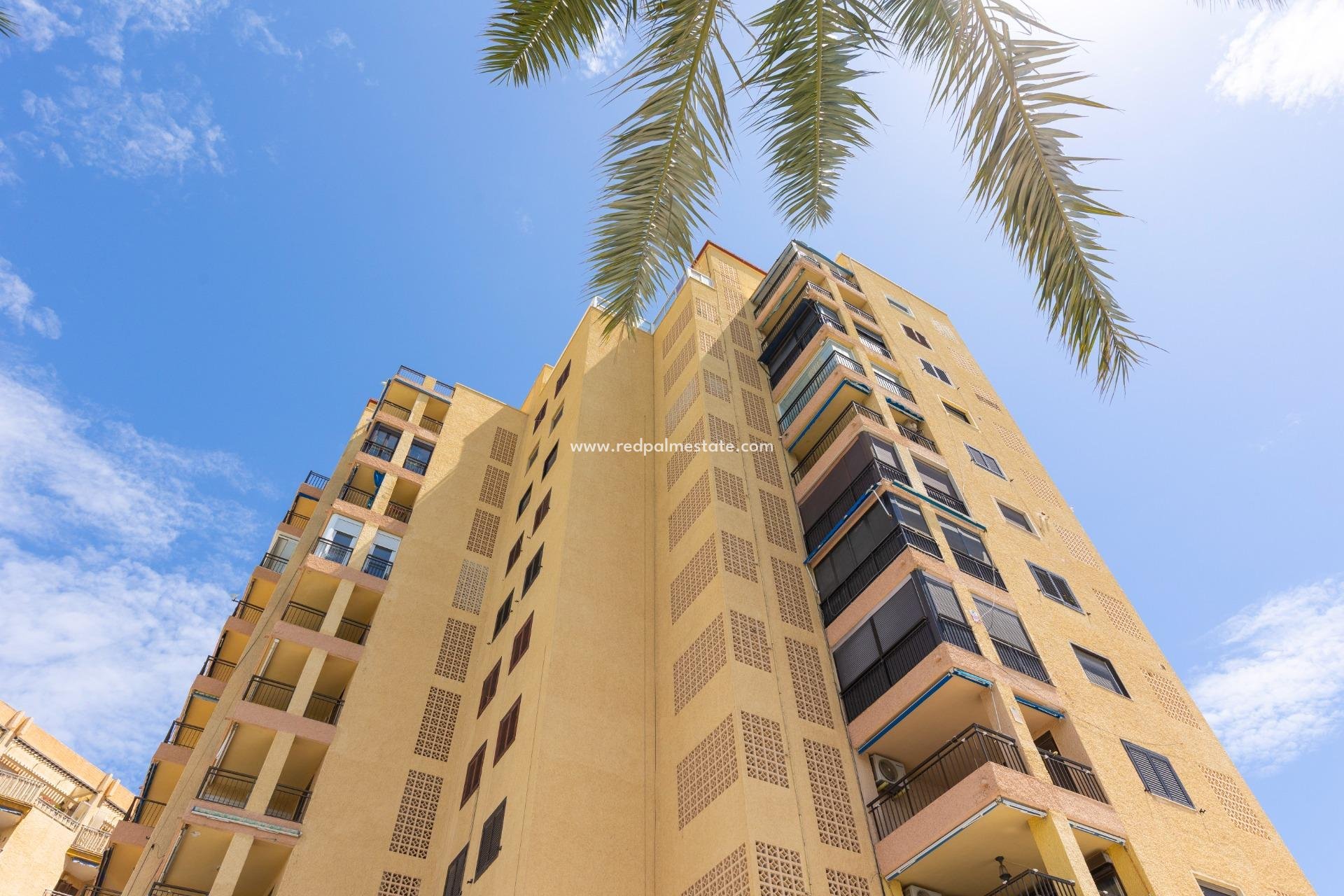 Återförsäljning - Lägenheter -
Torrevieja - Playa del Cura