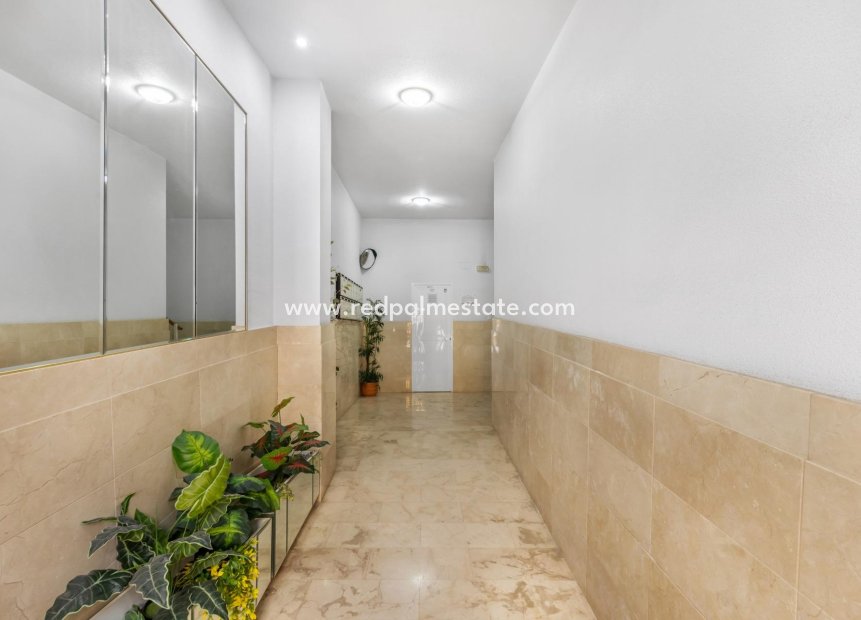 Återförsäljning - Lägenheter -
Torrevieja - Playa del Cura