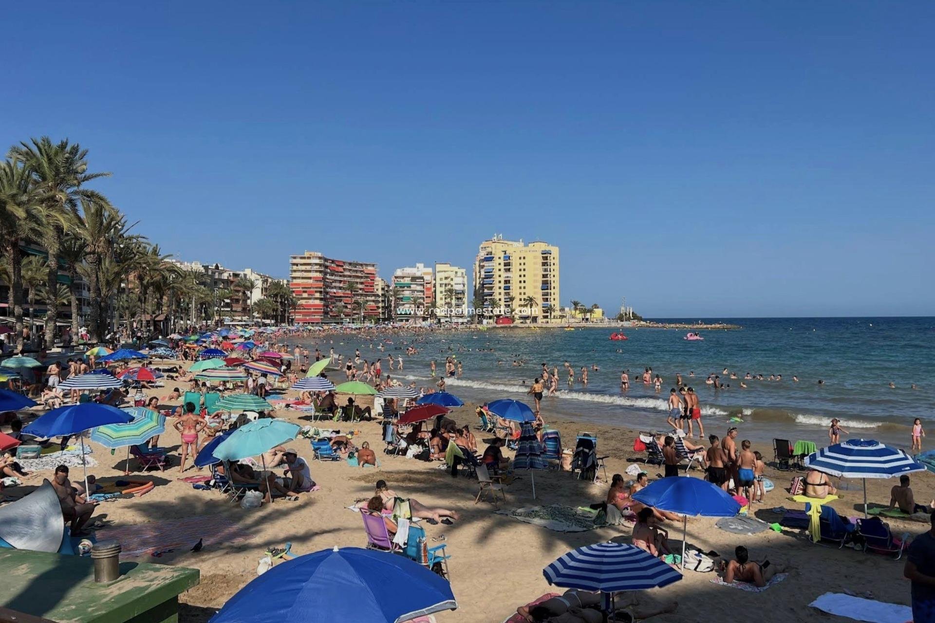 Återförsäljning - Lägenheter -
Torrevieja - Playa del Cura