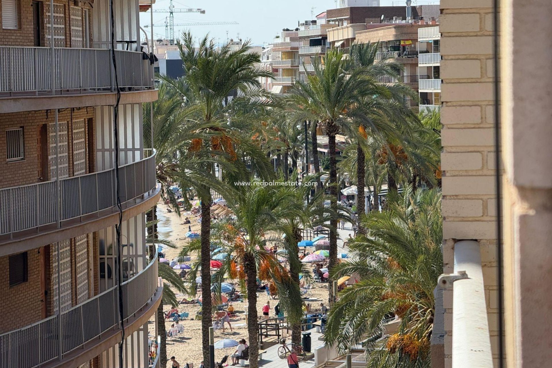 Återförsäljning - Lägenheter -
Torrevieja - Playa del Cura
