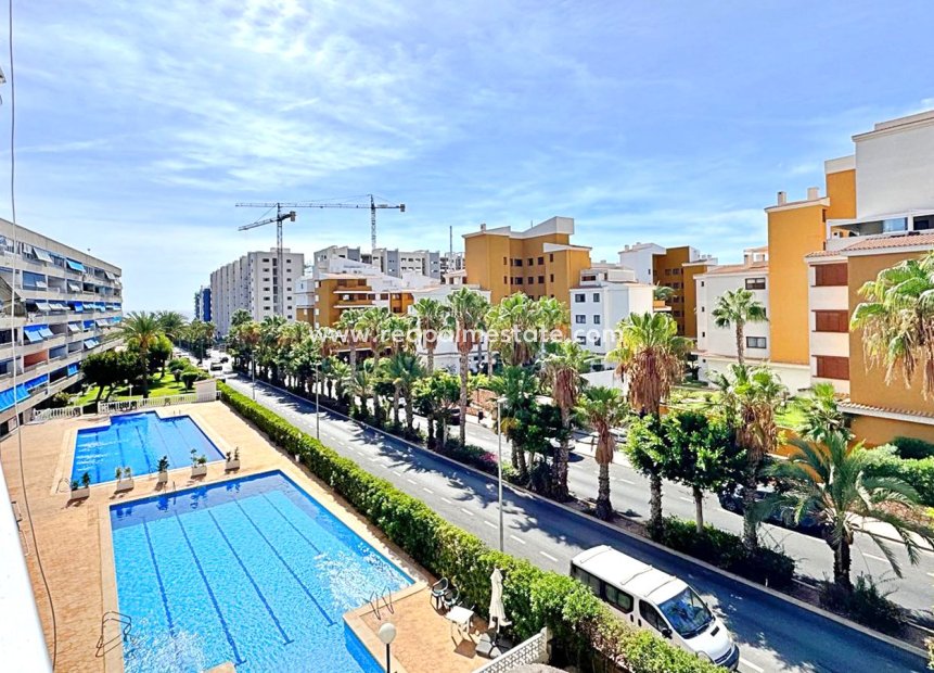 Återförsäljning - Lägenheter -
Torrevieja - Punta Prima Torrevieja
