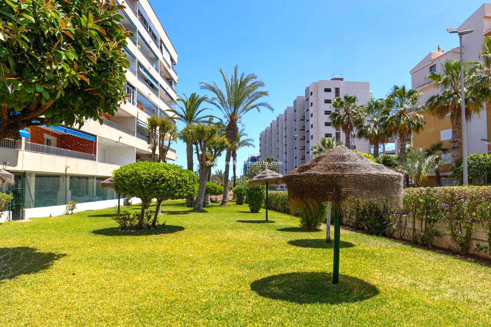 Återförsäljning - Lägenheter -
Torrevieja - Punta Prima Torrevieja