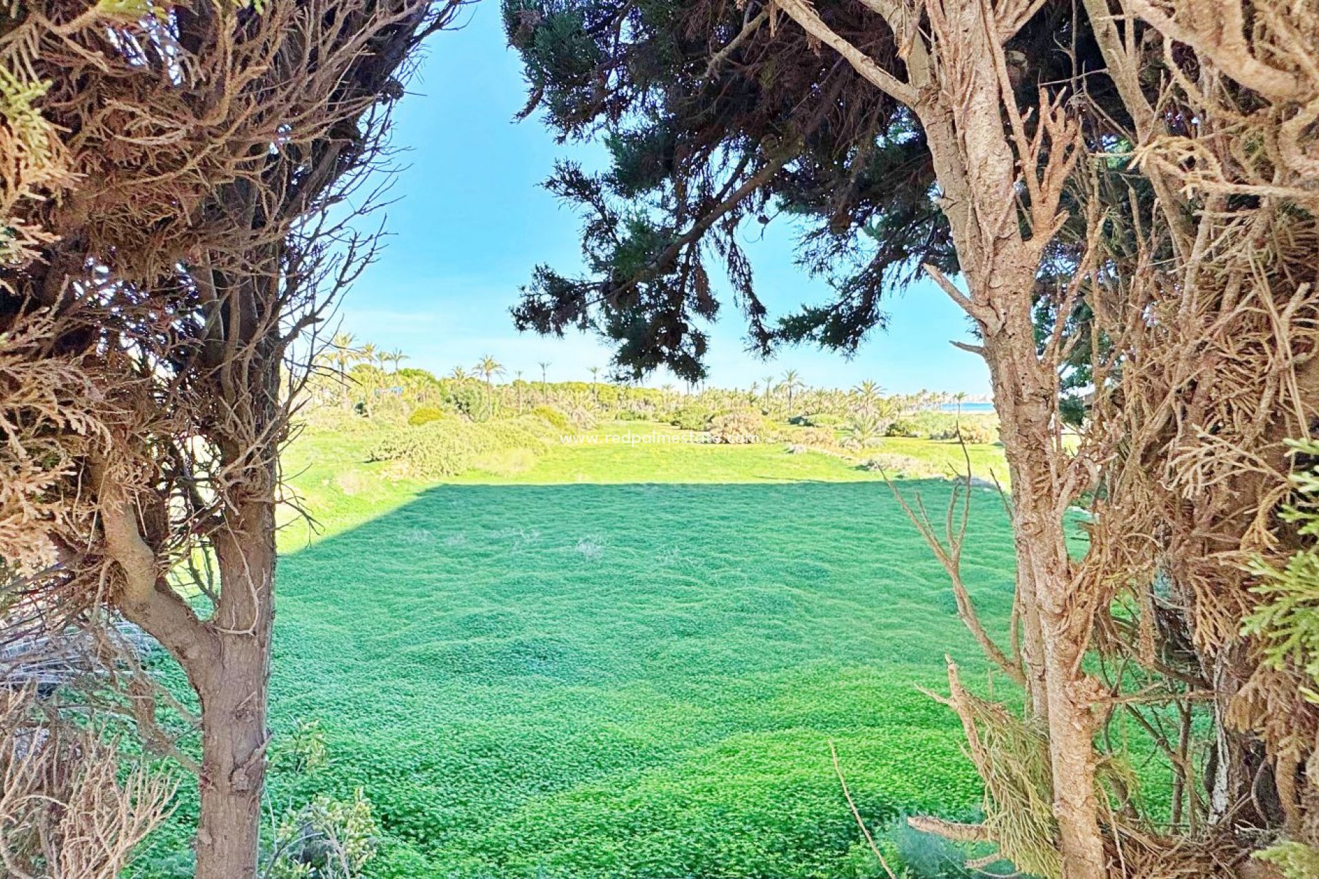 Återförsäljning - Lägenheter -
Torrevieja - Punta Prima Torrevieja