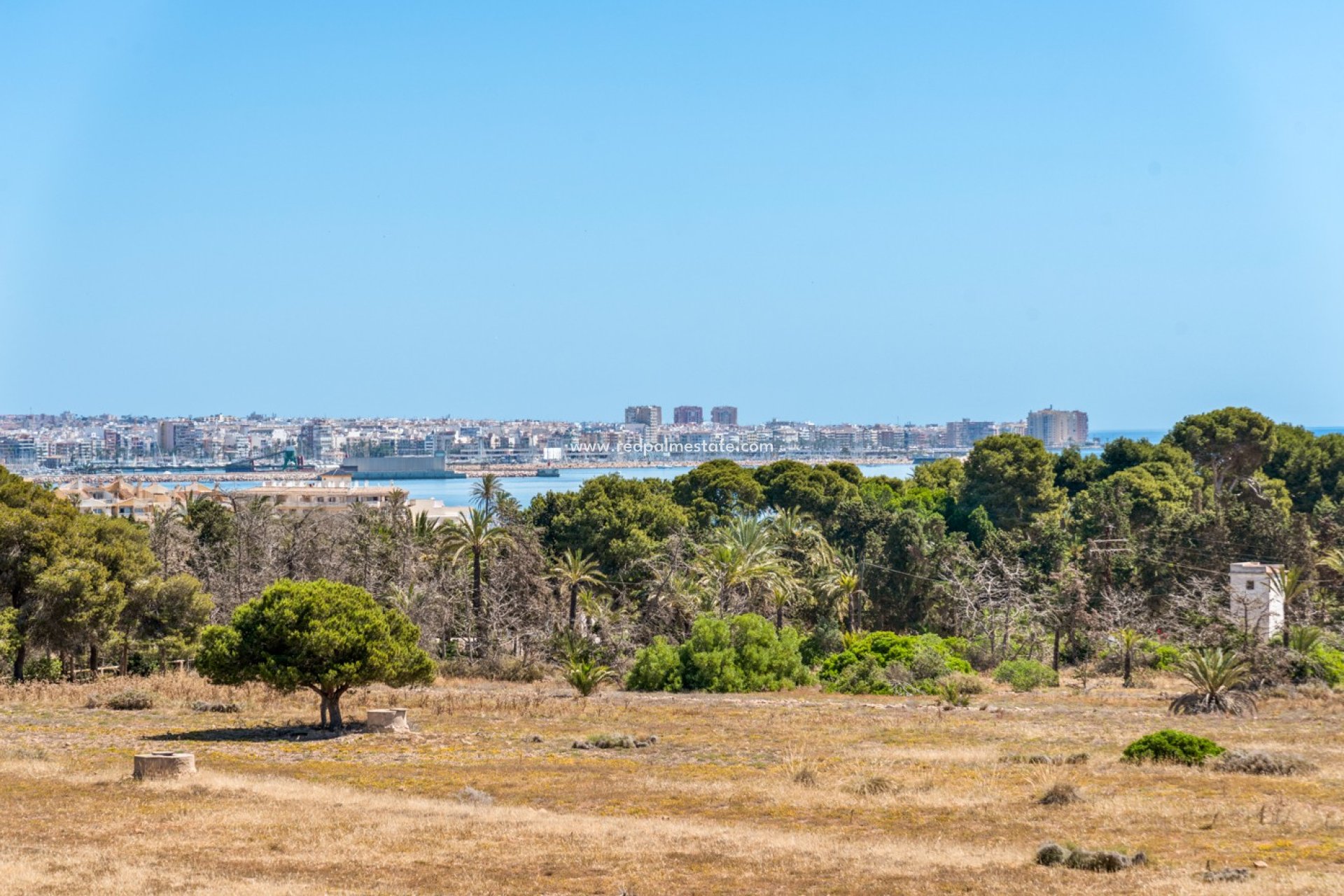 Återförsäljning - Lägenheter -
Torrevieja - Punta prima