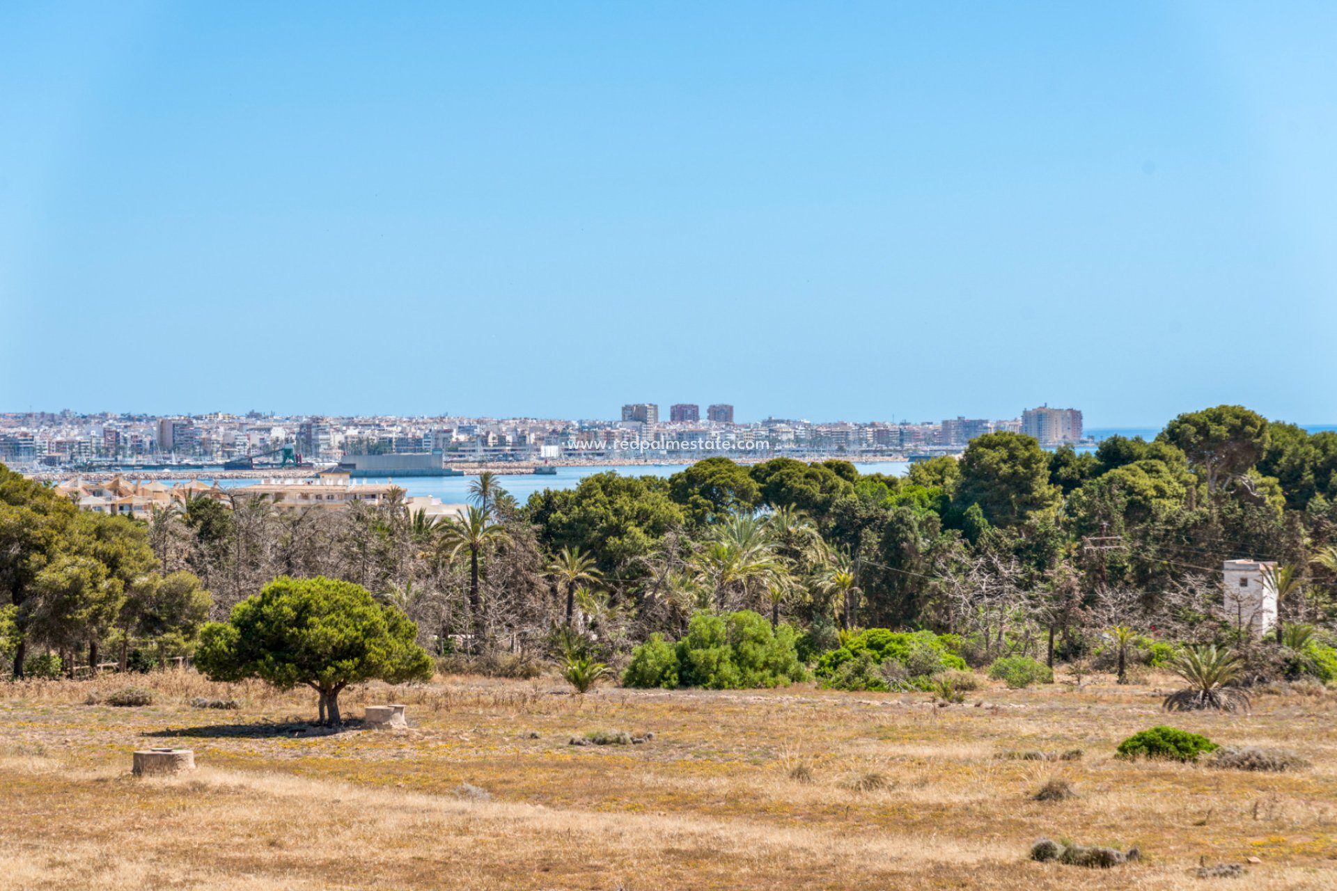 Återförsäljning - Lägenheter -
Torrevieja - Punta prima