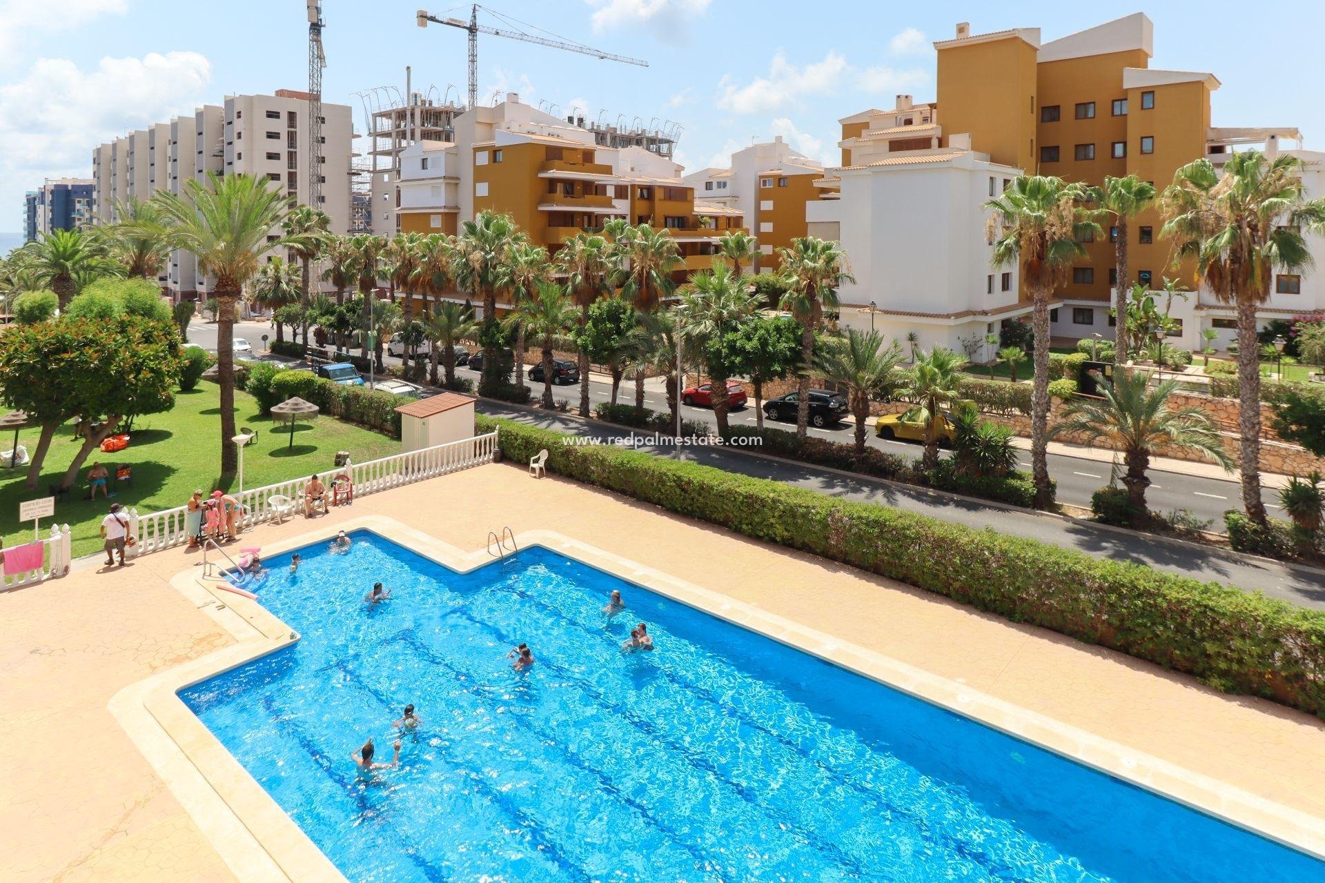 Återförsäljning - Lägenheter -
Torrevieja - Punta prima