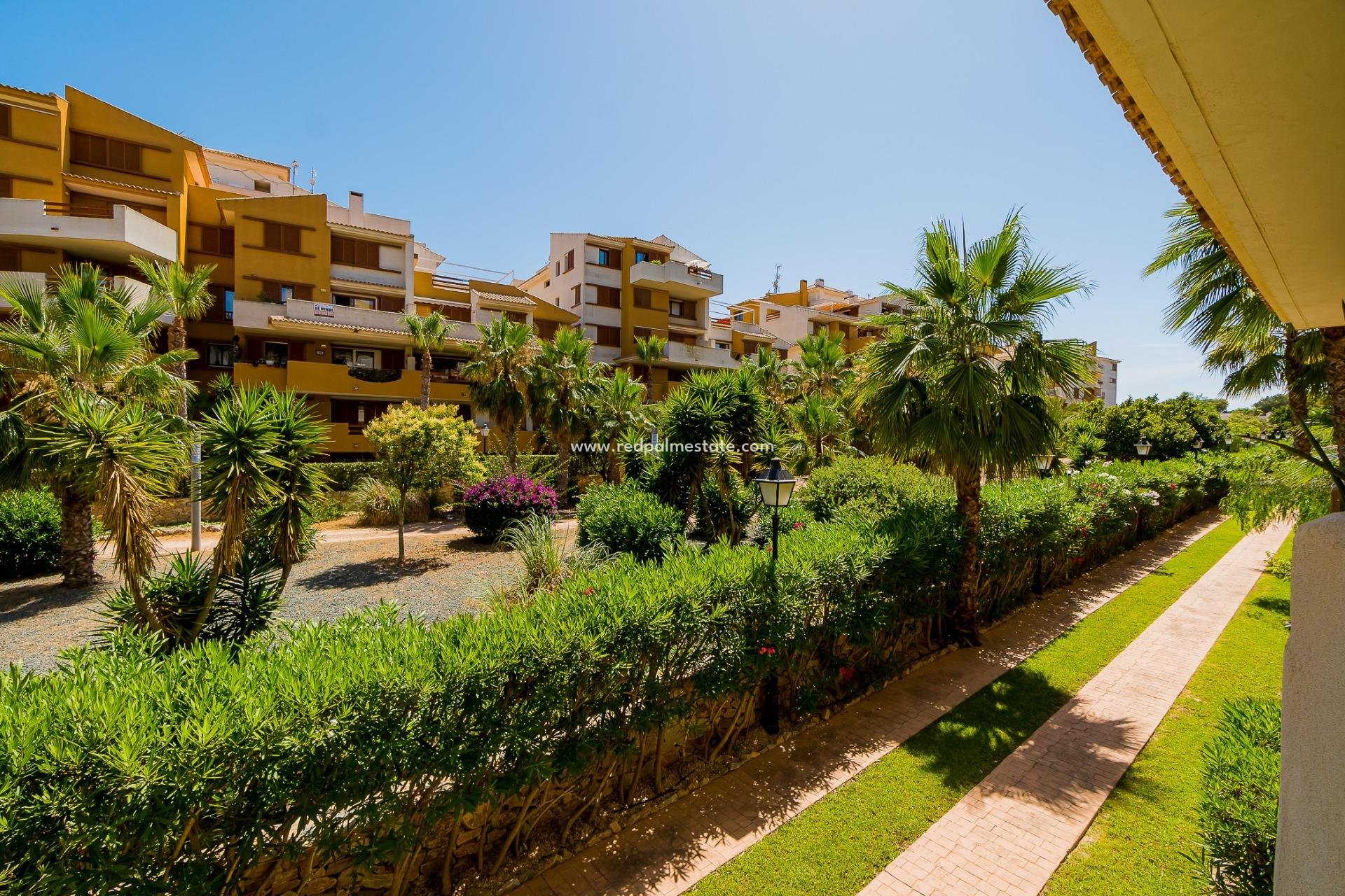 Återförsäljning - Lägenheter -
Torrevieja - Punta prima