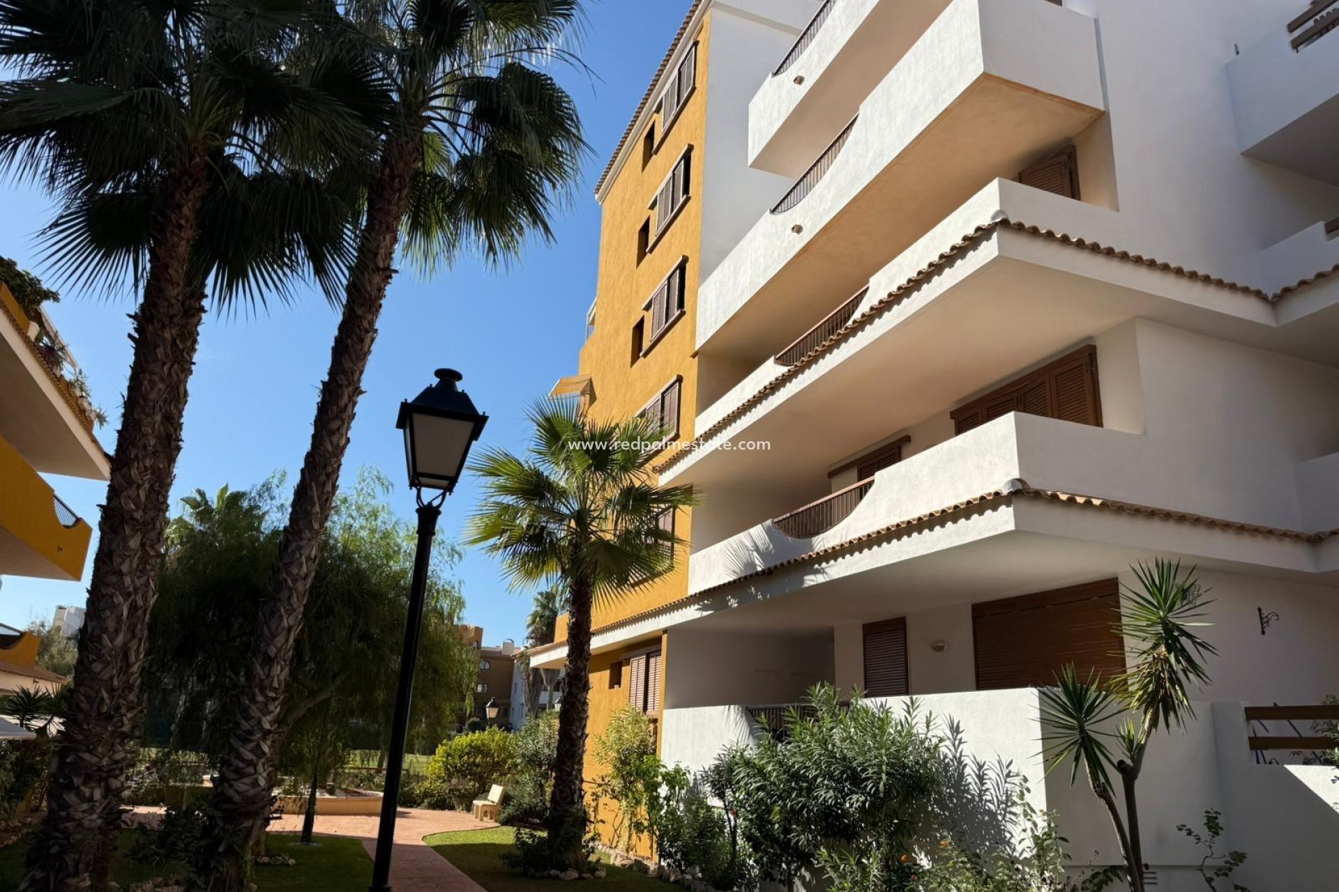 Återförsäljning - Lägenheter -
Torrevieja - Punta prima