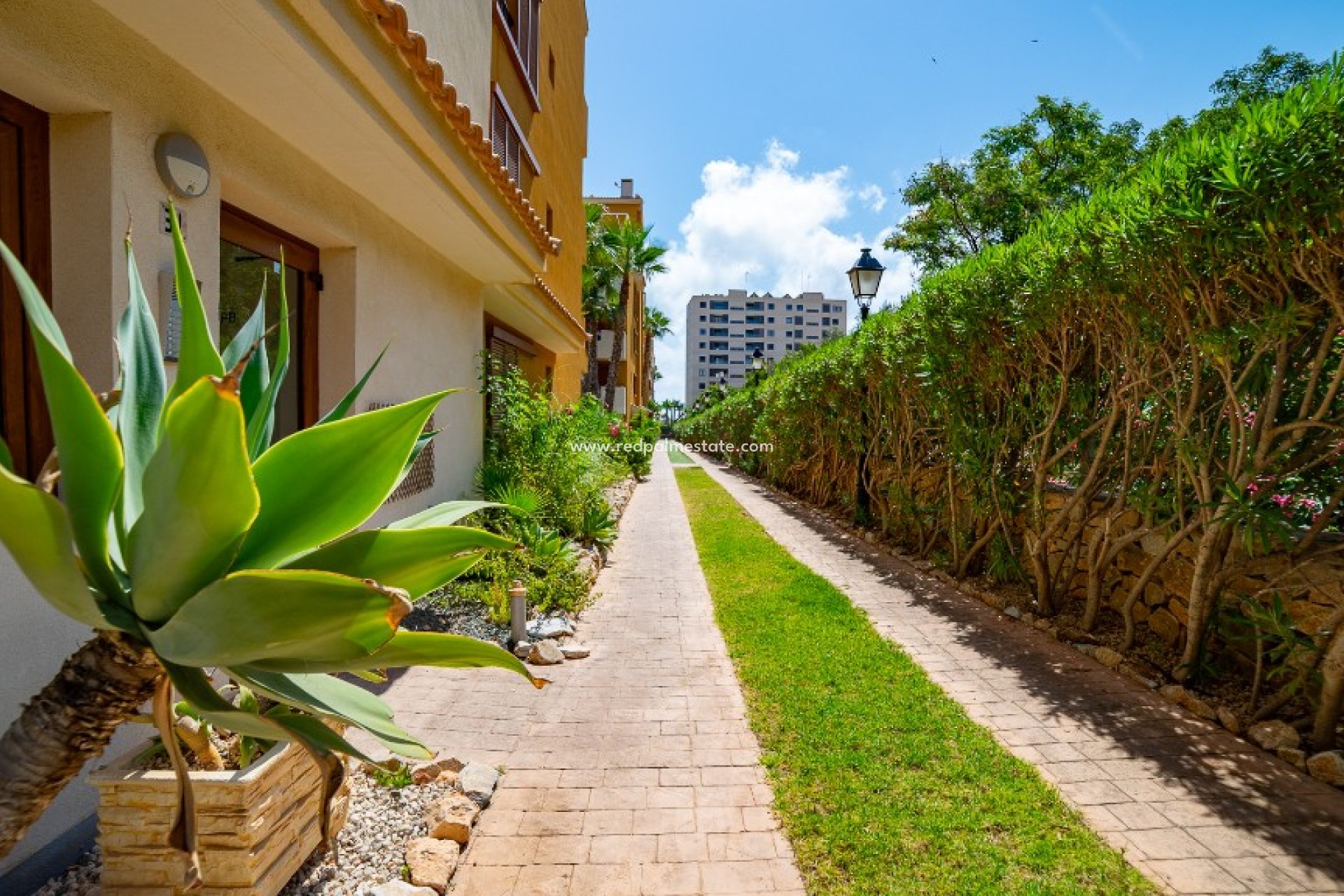 Återförsäljning - Lägenheter -
Torrevieja - Punta prima