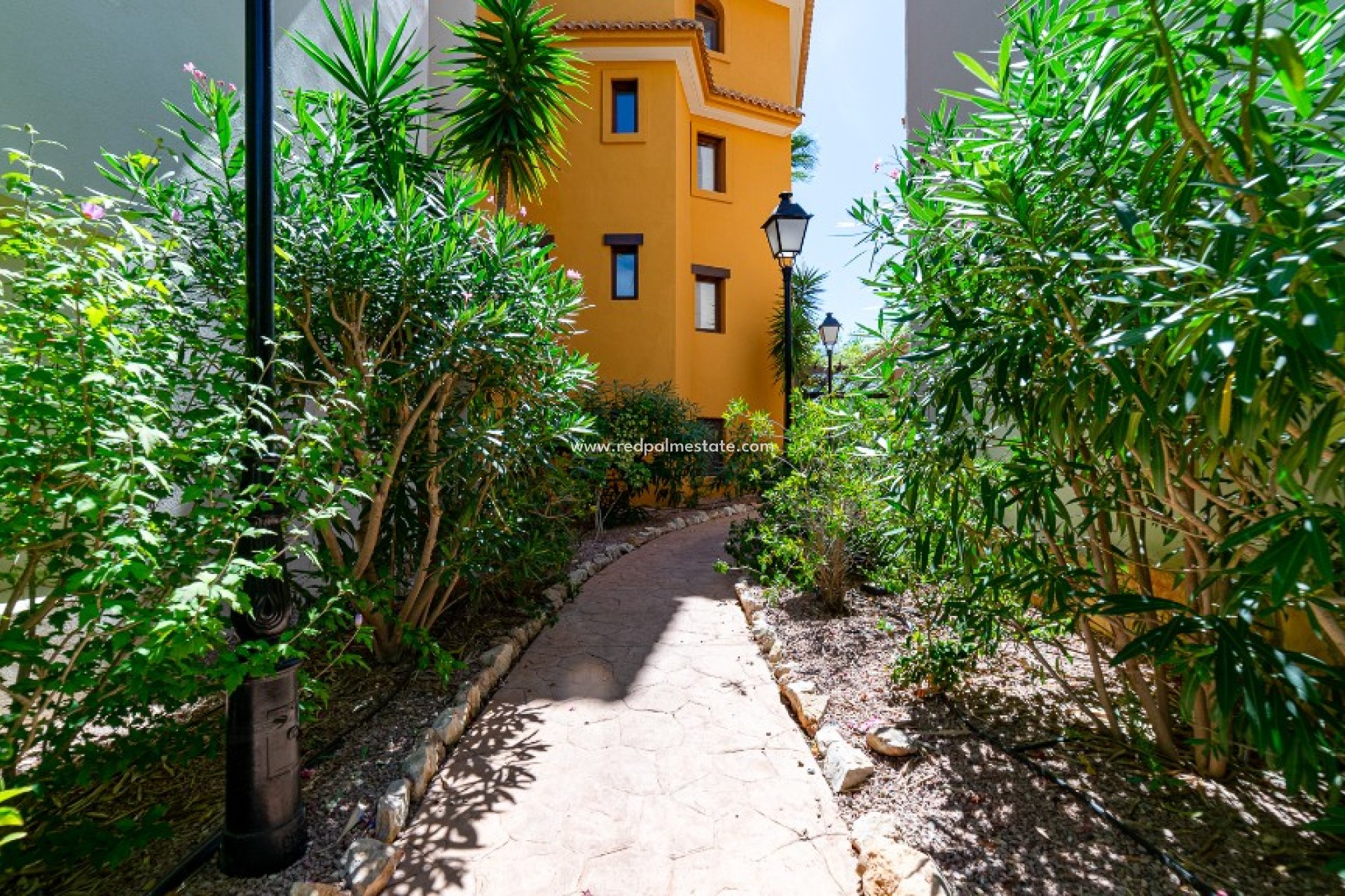 Återförsäljning - Lägenheter -
Torrevieja - Punta prima