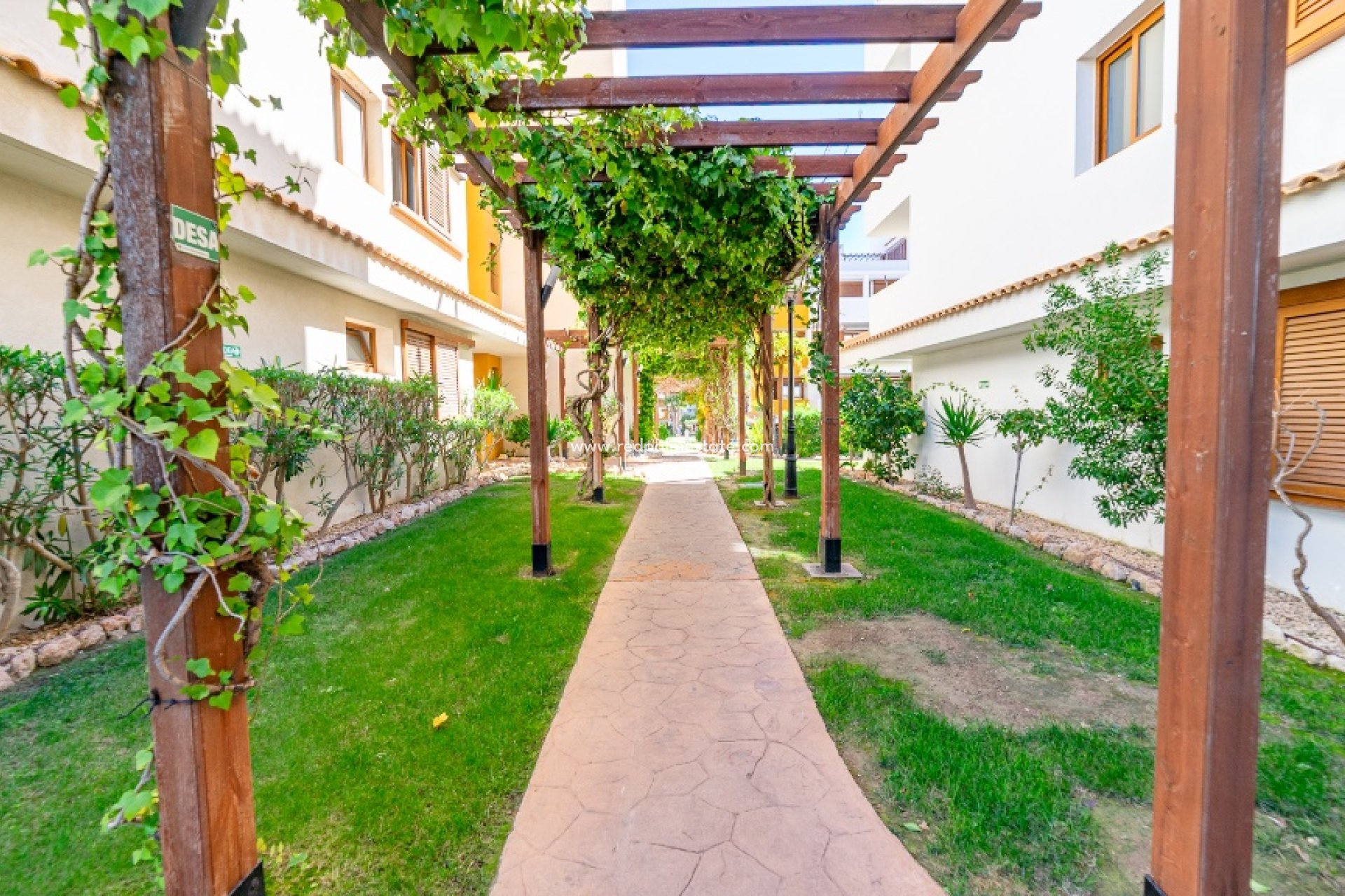 Återförsäljning - Lägenheter -
Torrevieja - Punta prima