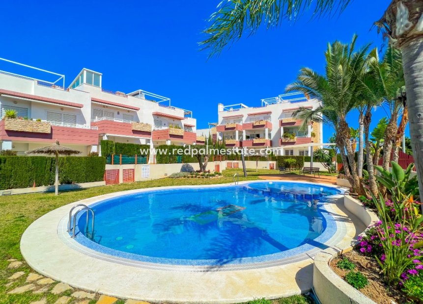 Återförsäljning - Lägenheter -
Torrevieja - Punta prima