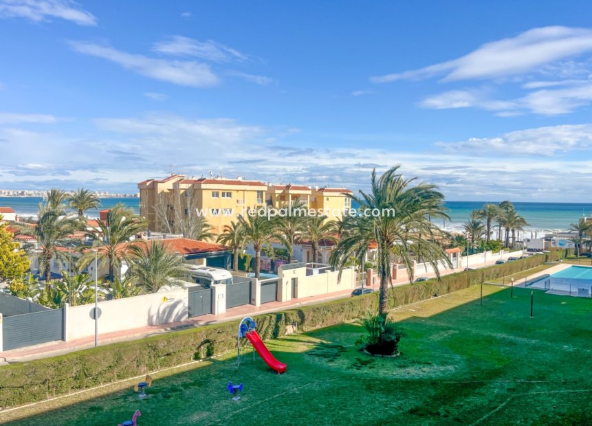 Återförsäljning - Lägenheter -
Torrevieja - Punta prima