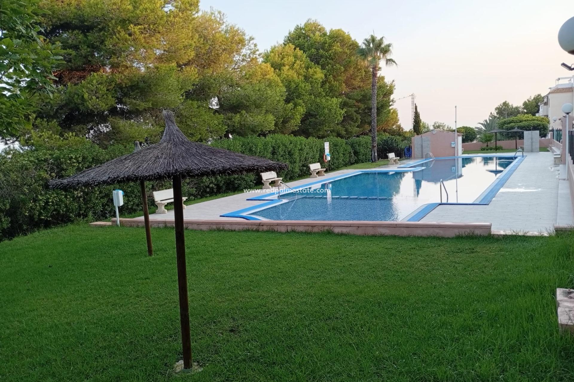 Återförsäljning - Lägenheter -
Torrevieja - Torreblanca