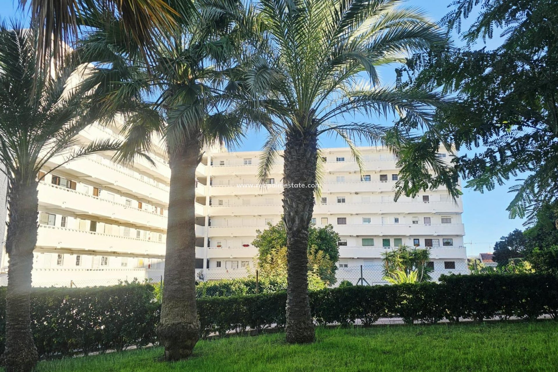 Återförsäljning - Lägenheter -
Torrevieja - Torreblanca