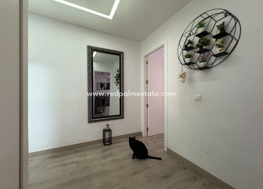 Återförsäljning - Lägenheter -
Torrevieja