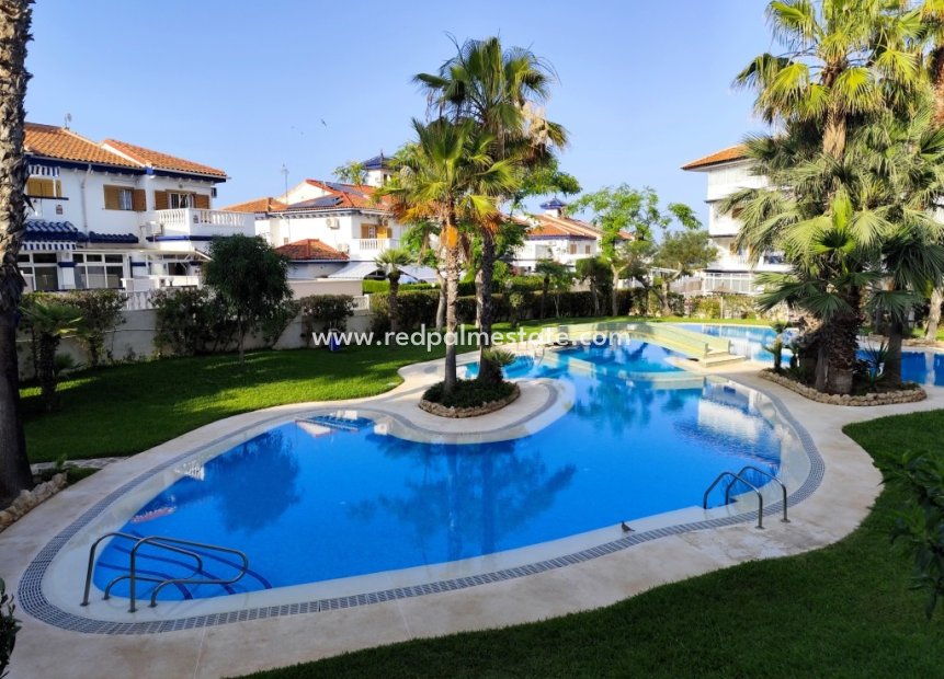 Återförsäljning - Lägenheter -
Torrevieja