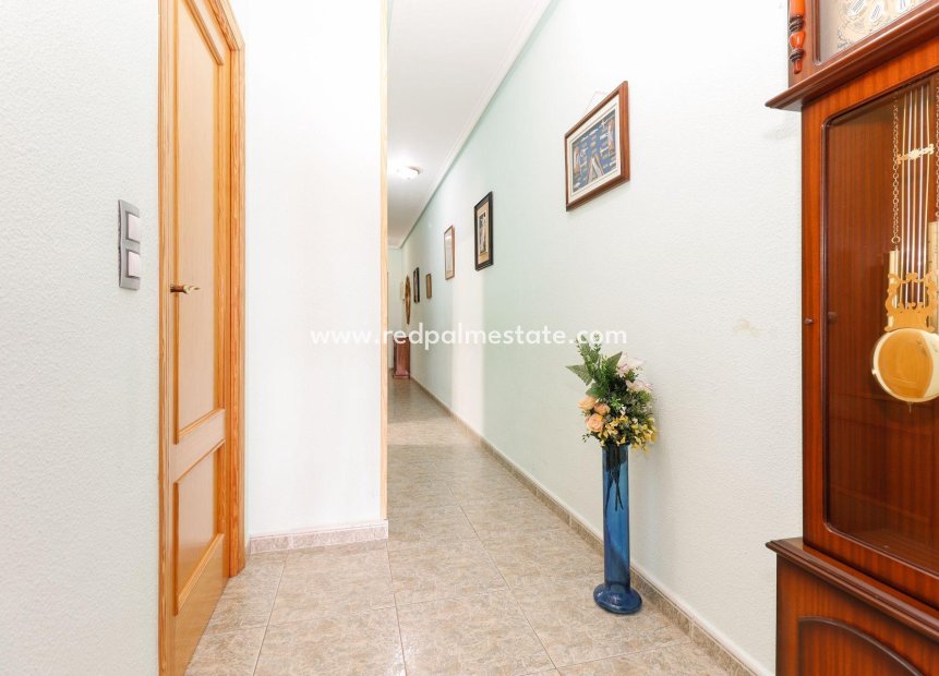 Återförsäljning - Lägenheter -
Torrevieja