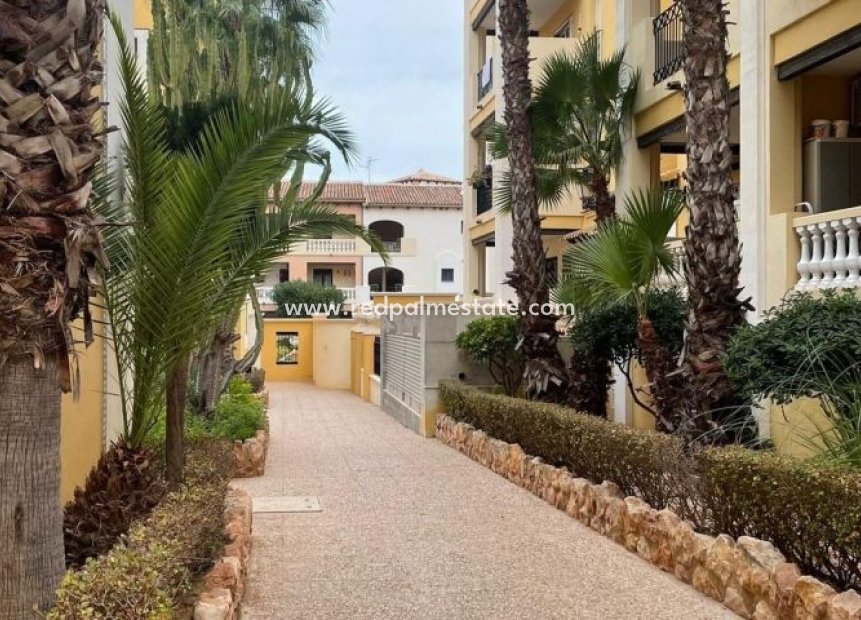 Återförsäljning - Lägenheter -
Torrevieja