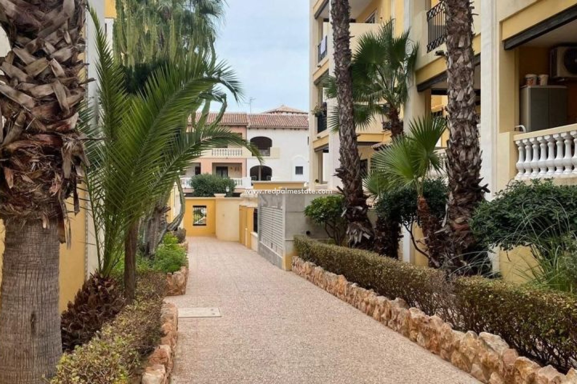 Återförsäljning - Lägenheter -
Torrevieja