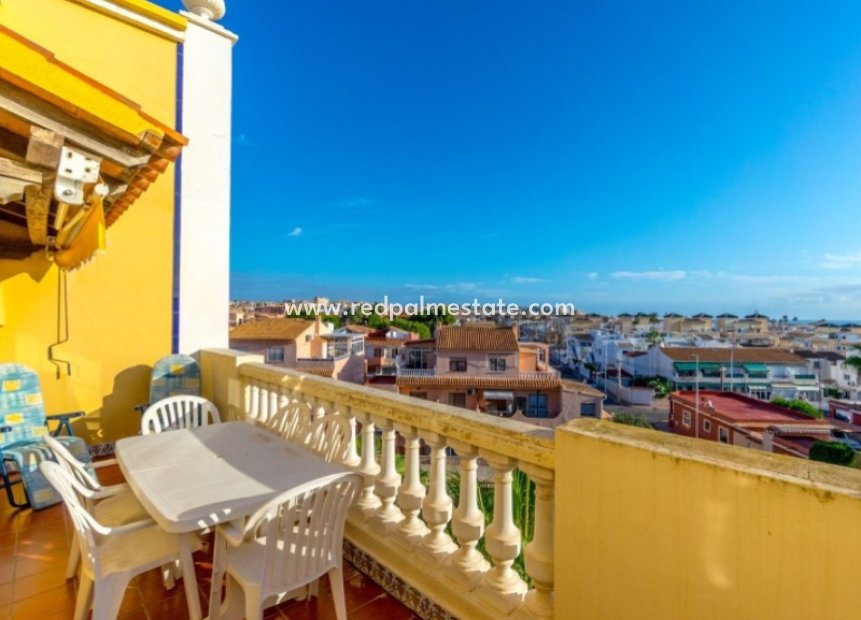 Återförsäljning - Lägenheter -
Torrevieja