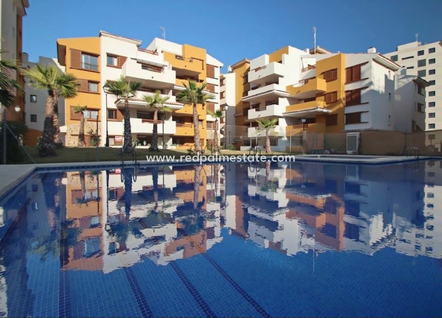 Återförsäljning - Lägenheter -
Torrevieja