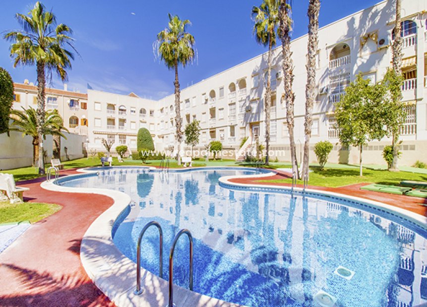 Återförsäljning - Lägenheter -
Torrevieja