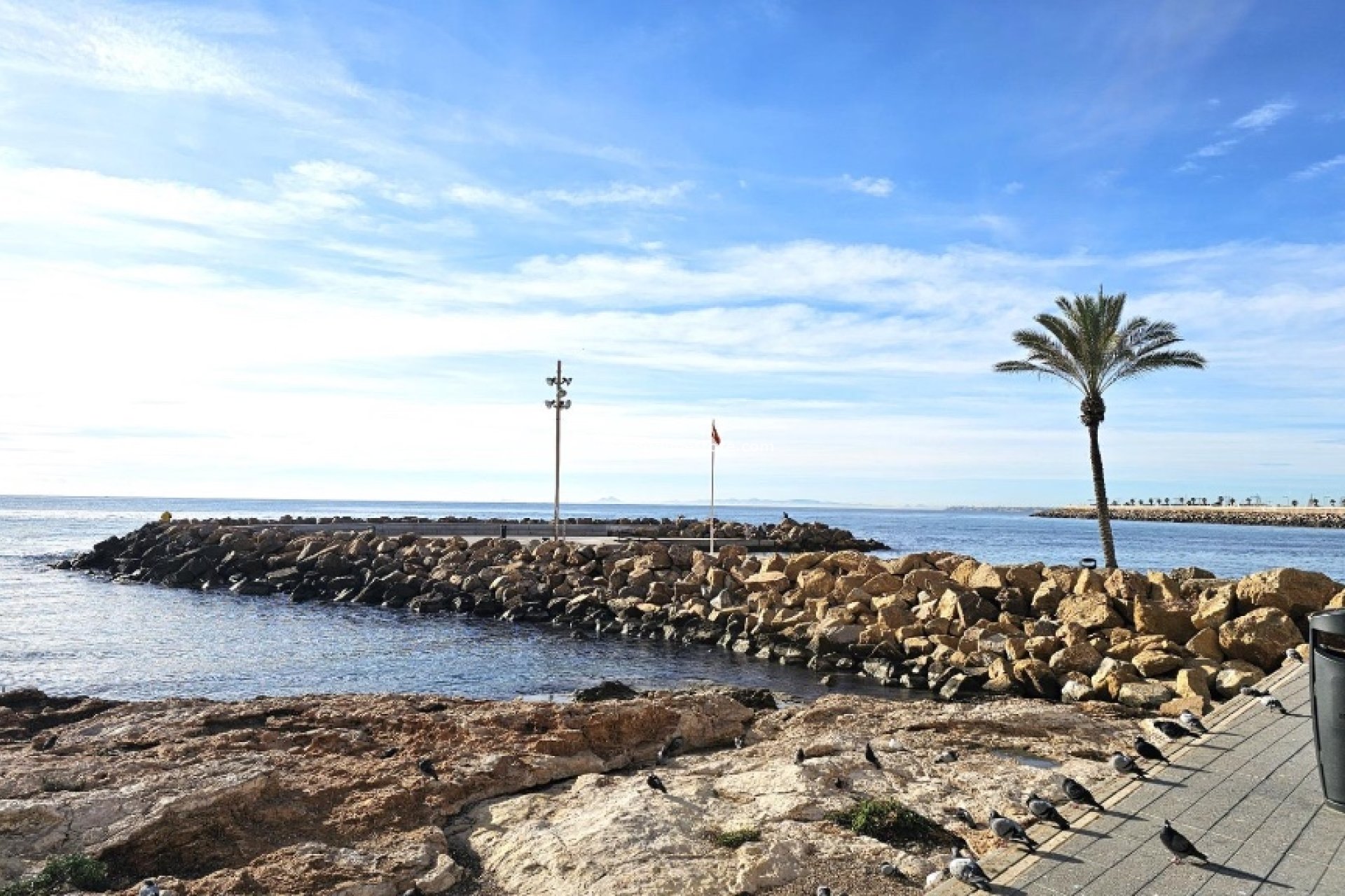 Återförsäljning - Lägenheter -
Torrevieja