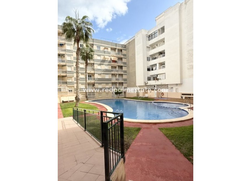 Återförsäljning - Lägenheter -
Torrevieja