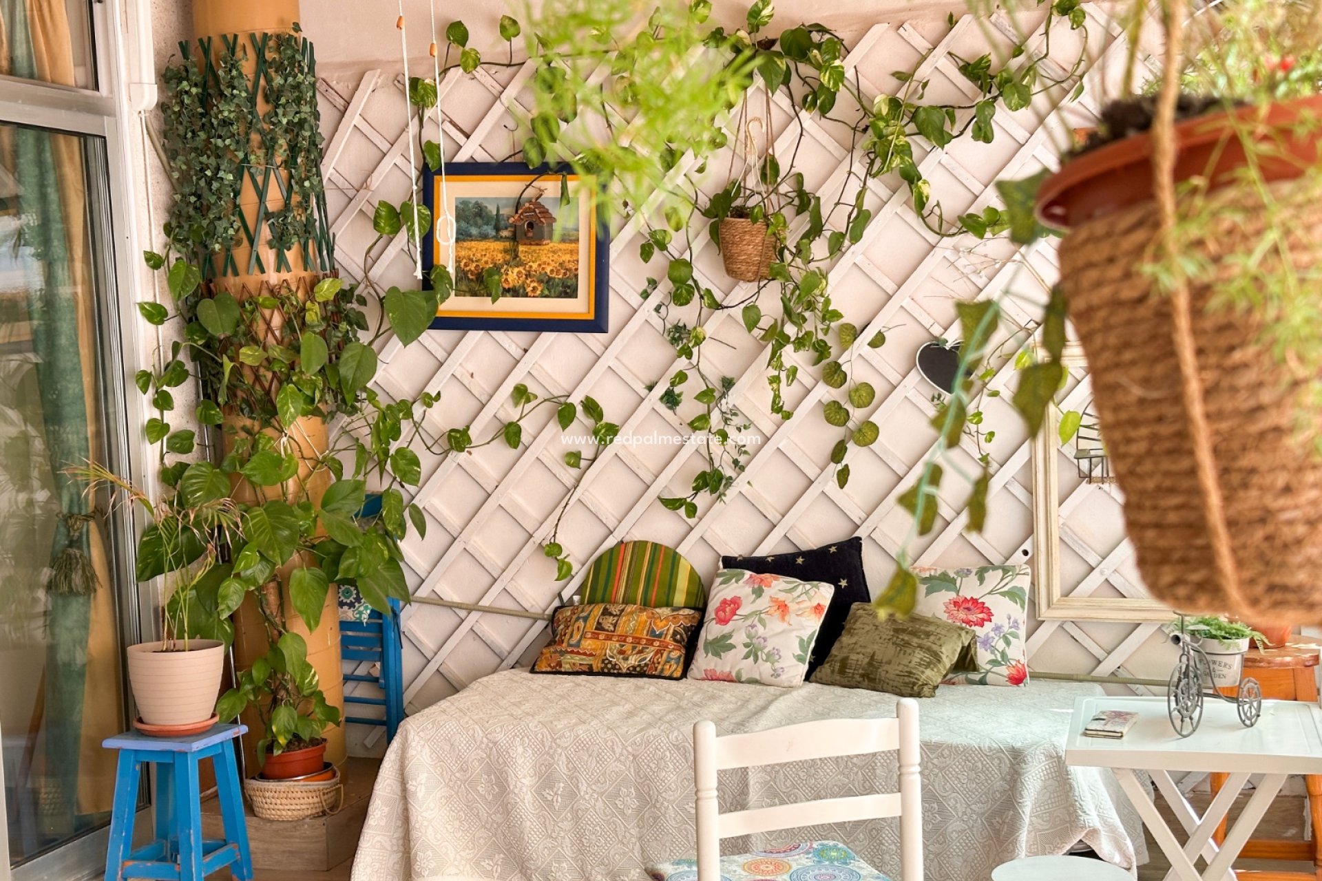 Återförsäljning - Lägenheter -
Torrevieja